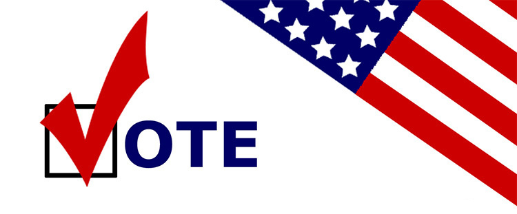 Vote with a checkmark and American flag