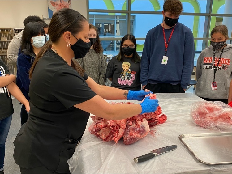 Mrs. Griffen explaining what the areas of the heart are