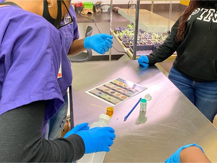 students completing a fecal analysis