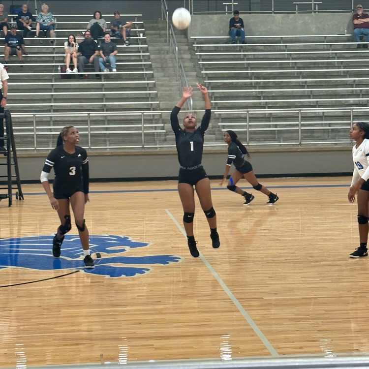 THS v Pine Tree