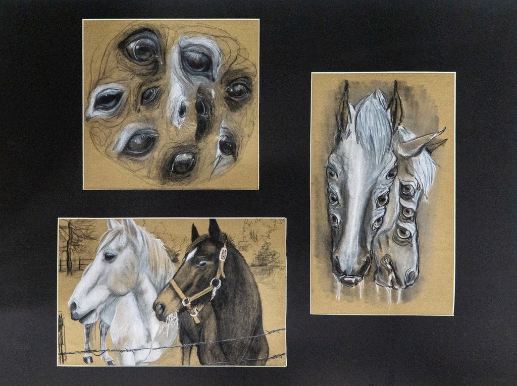 Sadie - Legacy HS, State Visual Arts Scholastic Event (VASE) submission
